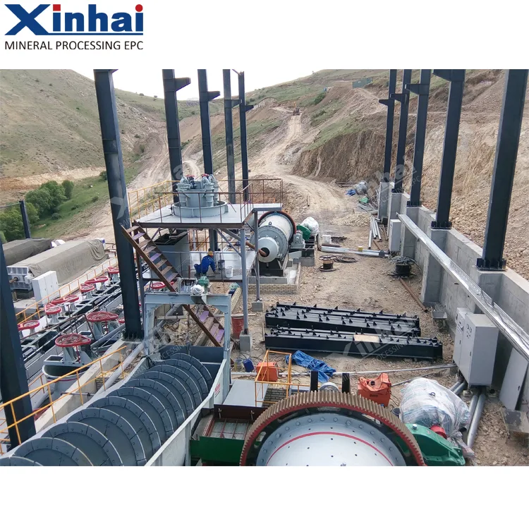 Spodumene processing plant